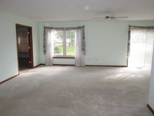 13311 Red Cedar Ln, Plainfield, IL 60544 photo 10