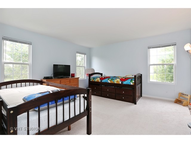 24300 Leski Ln, Plainfield, IL 60585 photo 9