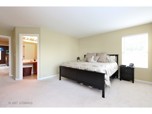 24300 Leski Ln, Plainfield, IL 60585 photo 7