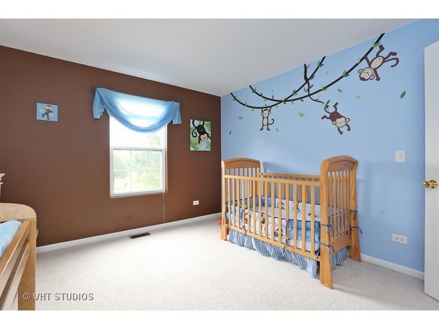24300 Leski Ln, Plainfield, IL 60585 photo 10