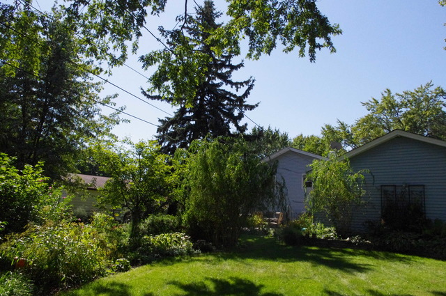 3302 Kingfisher Ln, Rolling Meadows, IL 60008 photo 16