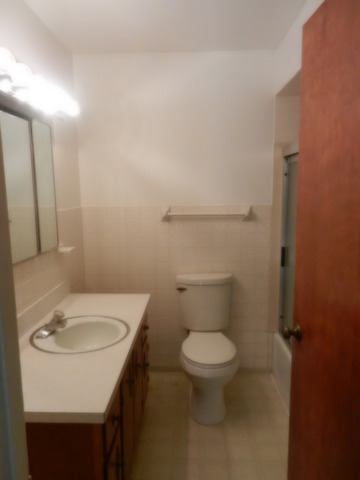 46 W418 Locust St, Elburn, IL 60119 photo 12