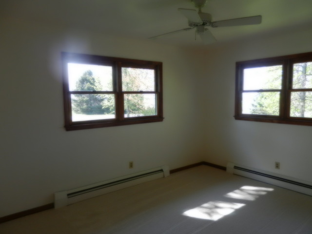 46 W418 Locust St, Elburn, IL 60119 photo 11