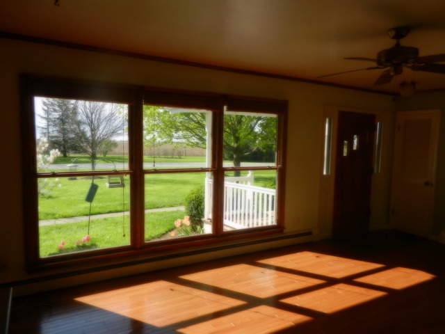 46 W418 Locust St, Elburn, IL 60119 photo 4