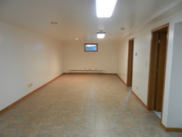 46 W418 Locust St, Elburn, IL 60119 photo 13