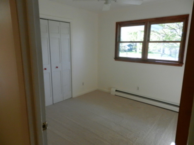 46 W418 Locust St, Elburn, IL 60119 photo 10