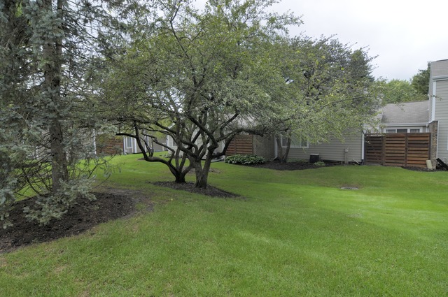 2099 Timber Ln, Wheaton, IL 60189 photo 18