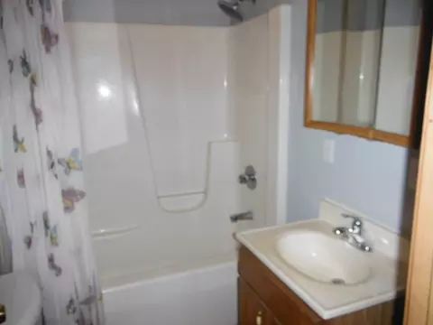 511 Barney Riva St, Dalzell, IL 61320 photo 9