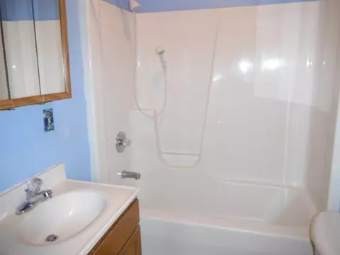 511 Barney Riva St, Dalzell, IL 61320 photo 6