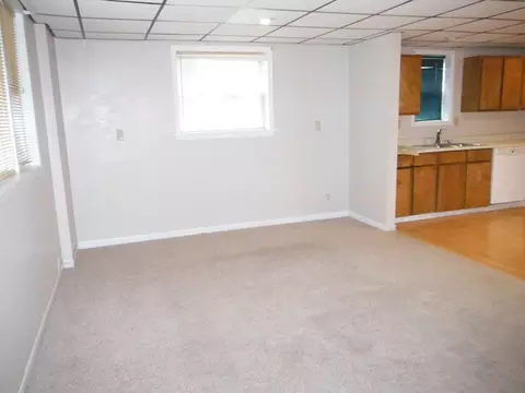 511 Barney Riva St, Dalzell, IL 61320 photo 3
