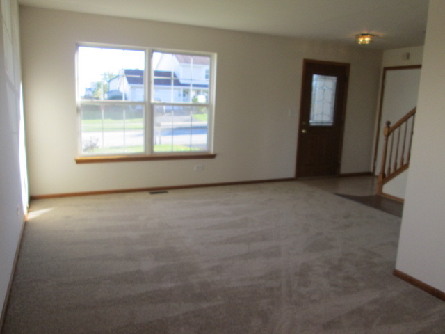 5432 Cherry Ln, Monee, IL 60449 photo 4