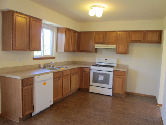 5432 Cherry Ln, Monee, IL 60449 photo 3