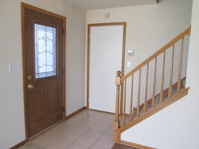 5432 Cherry Ln, Monee, IL 60449 photo 14