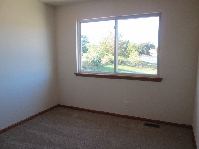 5432 Cherry Ln, Monee, IL 60449 photo 13