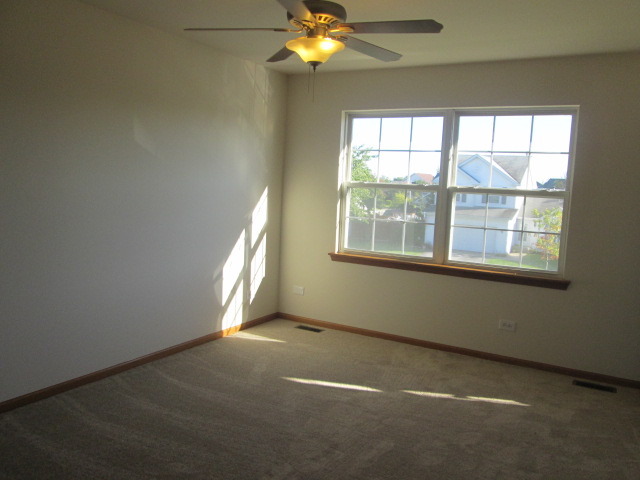5432 Cherry Ln, Monee, IL 60449 photo 9
