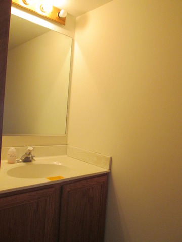 5432 Cherry Ln, Monee, IL 60449 photo 7
