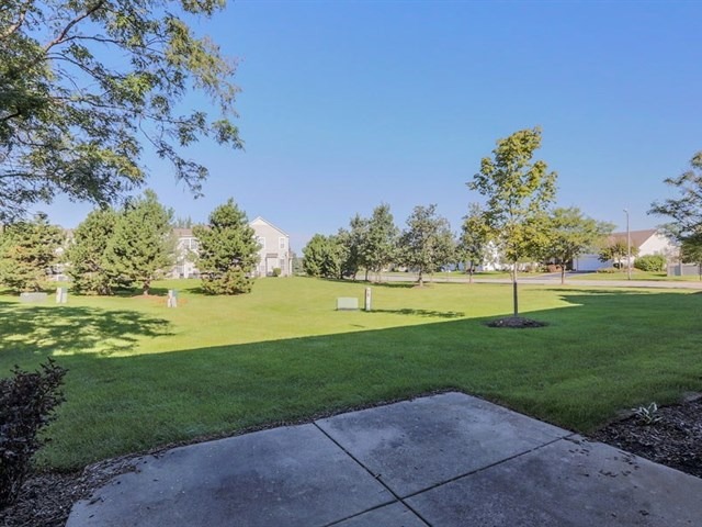 24345 Leski Ln, Plainfield, IL 60585 photo 24