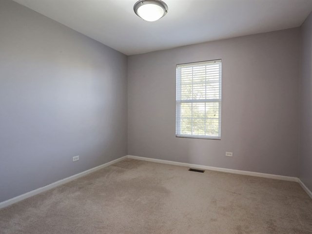 24345 Leski Ln, Plainfield, IL 60585 photo 22