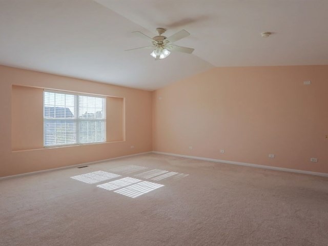 24345 Leski Ln, Plainfield, IL 60585 photo 18