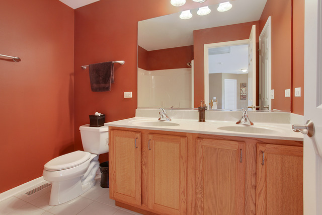 12062 Winterberry Ln, Plainfield, IL 60585 photo 9