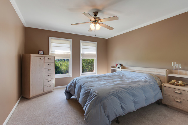 12062 Winterberry Ln, Plainfield, IL 60585 photo 8