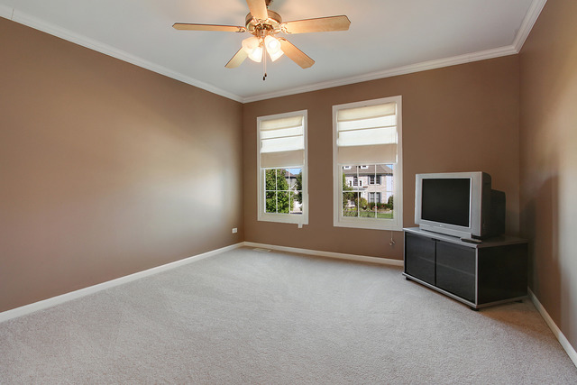 12062 Winterberry Ln, Plainfield, IL 60585 photo 11
