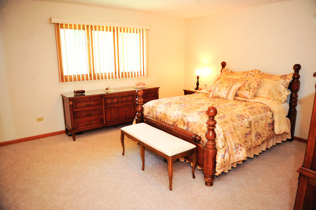 65 Amanda Ct, Crete, IL 60417 photo 8