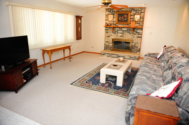 65 Amanda Ct, Crete, IL 60417 photo 4