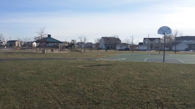 6213 Cedar Ridge Dr, Plainfield, IL 60586 photo 20