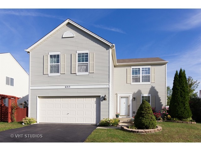 6213 Cedar Ridge Dr, Plainfield, IL 60586 photo 1