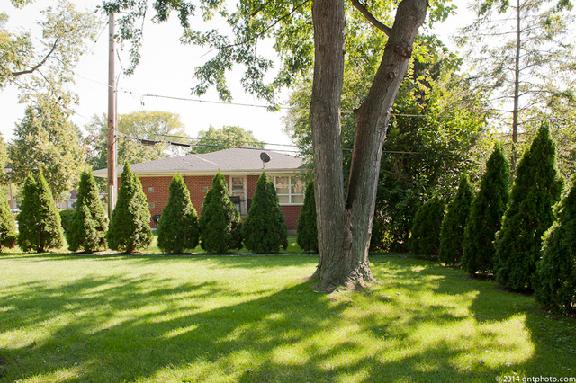 378 E Sherman Ave, Elmhurst, IL 60126 photo 3