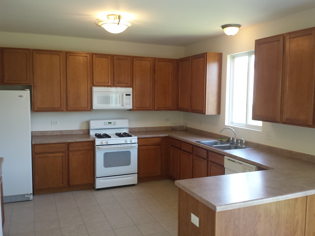 1720 Great Ridge Dr, Plainfield, IL 60586 photo 4