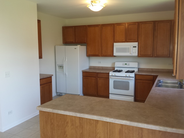 1720 Great Ridge Dr, Plainfield, IL 60586 photo 5