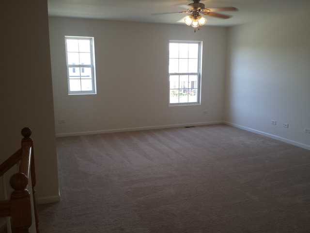 1720 Great Ridge Dr, Plainfield, IL 60586 photo 21