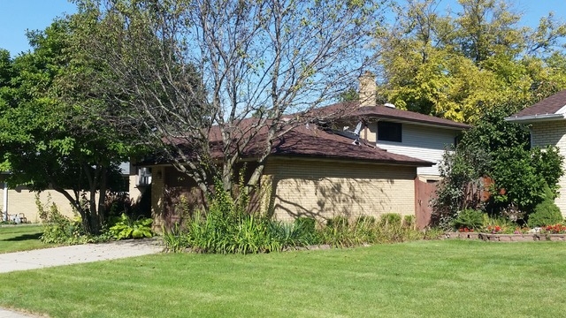 562 Debra Dr, Des Plaines, IL 60016 photo 3