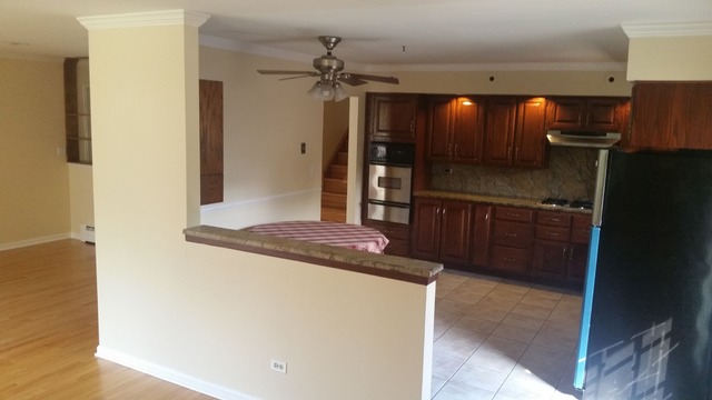 562 Debra Dr, Des Plaines, IL 60016 photo 7
