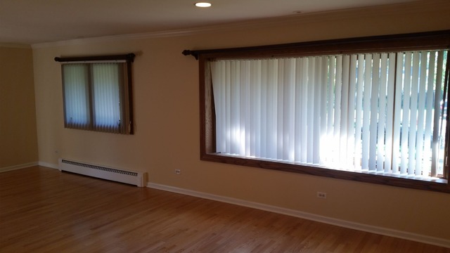 562 Debra Dr, Des Plaines, IL 60016 photo 8