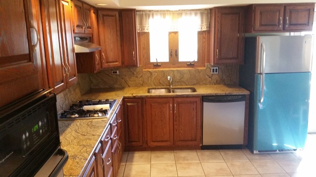 562 Debra Dr, Des Plaines, IL 60016 photo 6