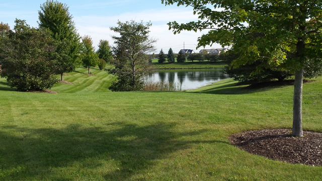 1030 Grayhawk Dr, Algonquin, IL 60102 photo 5