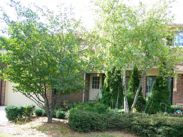1092 Briarcliffe Blvd, Wheaton, IL 60189 photo 1