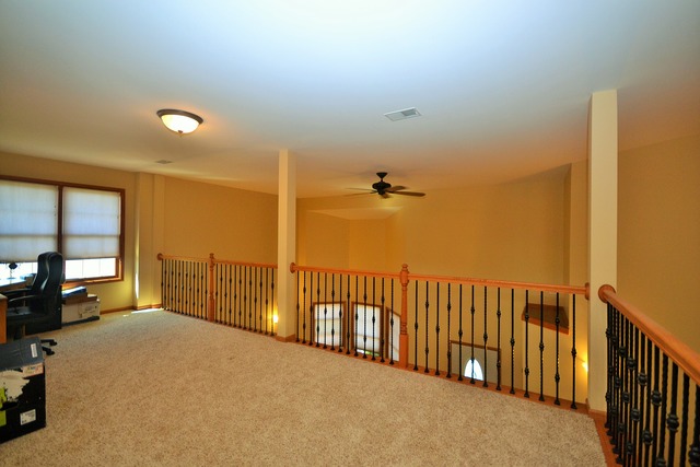 262 Poplar Ln, Beecher, IL 60401 photo 9