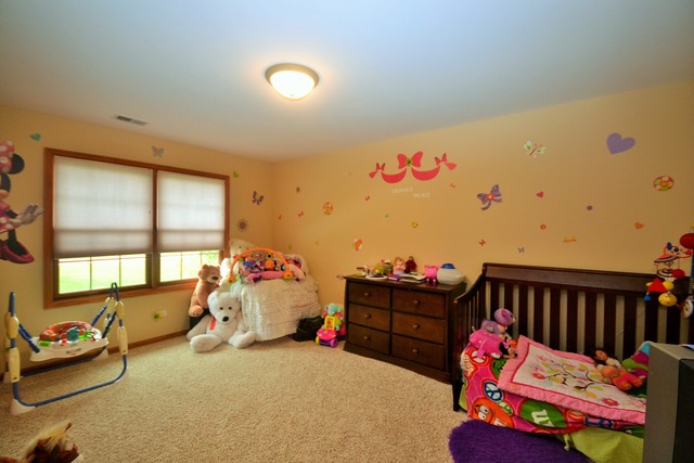 262 Poplar Ln, Beecher, IL 60401 photo 14