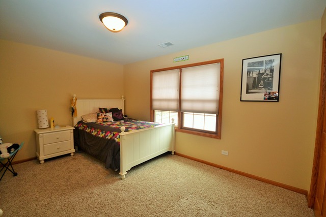 262 Poplar Ln, Beecher, IL 60401 photo 11