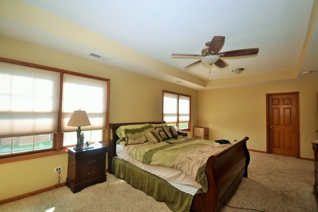 262 Poplar Ln, Beecher, IL 60401 photo 10