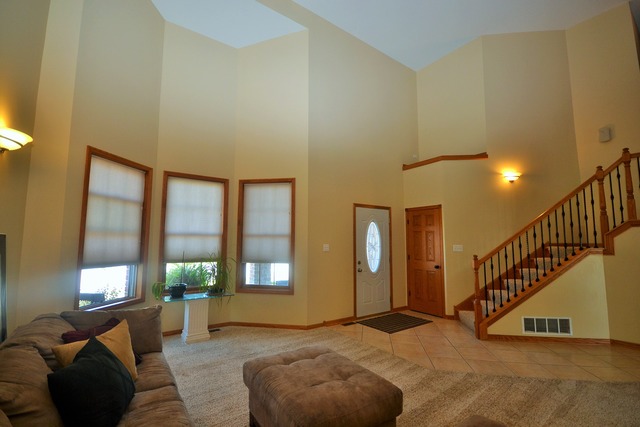 262 Poplar Ln, Beecher, IL 60401 photo 3