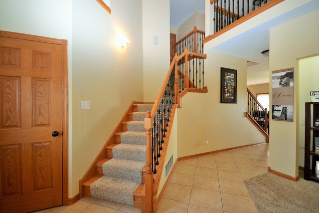 262 Poplar Ln, Beecher, IL 60401 photo 4