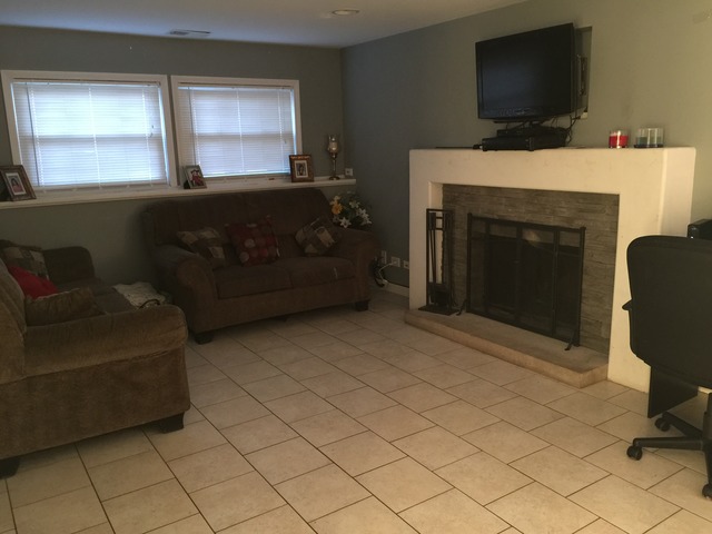 397 E Chippendale Dr, Bartlett, IL 60103 photo 9