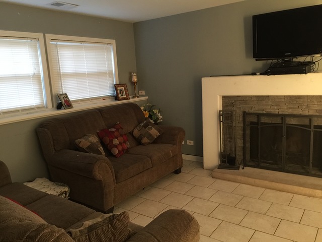 397 E Chippendale Dr, Bartlett, IL 60103 photo 8