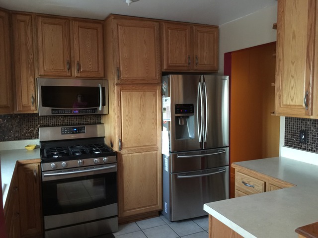 397 E Chippendale Dr, Bartlett, IL 60103 photo 4