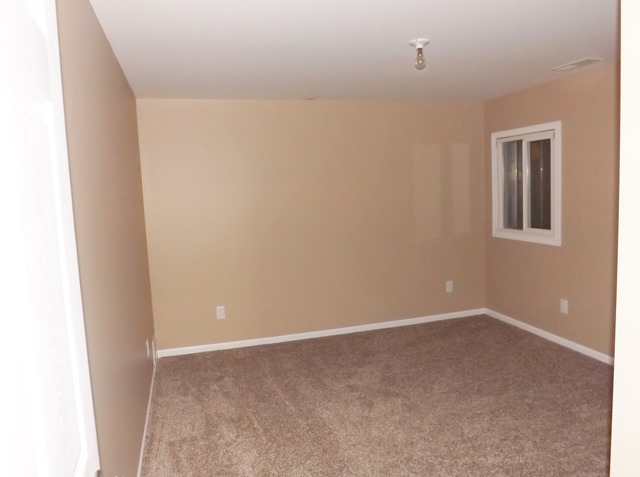 2013 Oak Forest Dr, Morris, IL 60450 photo 17